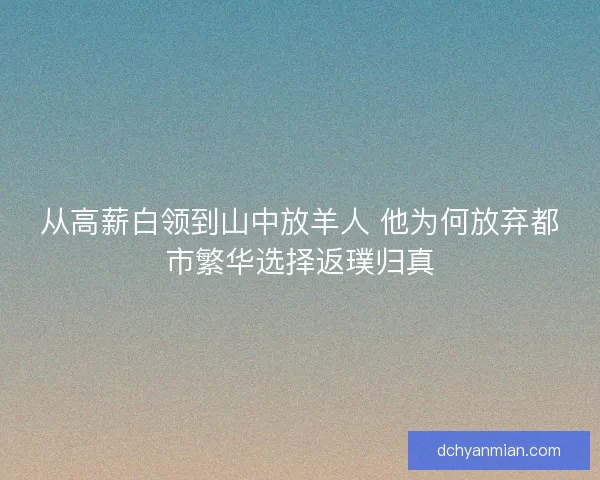 从高薪白领到山中放羊人 他为何放弃都市繁华选择返璞归真
