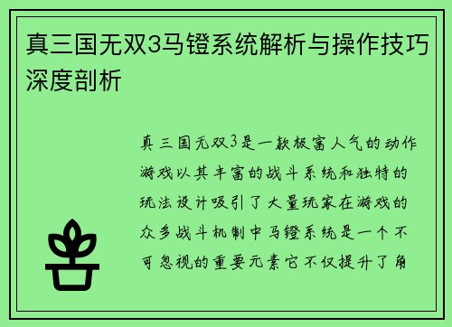 真三国无双3马镫系统解析与操作技巧深度剖析